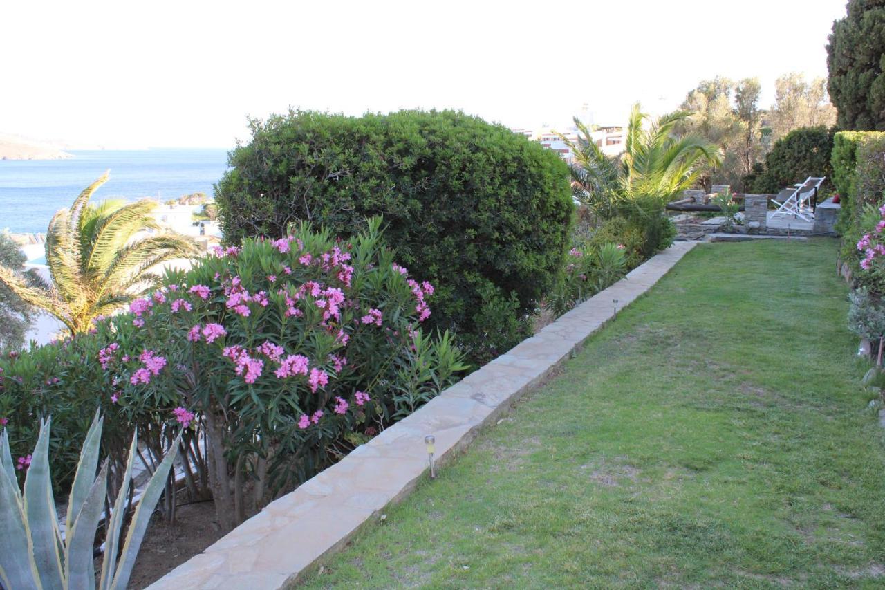 Blue Dolphin Hotel Batsi  Exterior photo